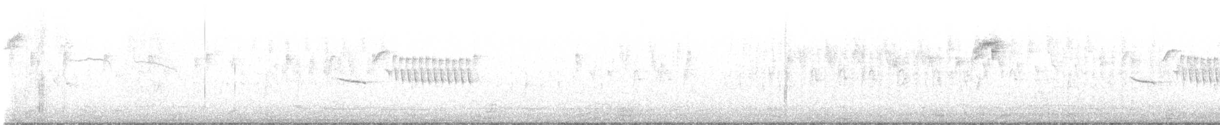 Bewick's Wren - ML644126352