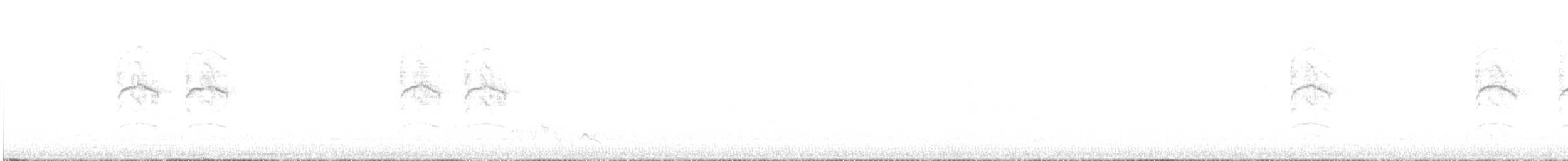 strdimil obojkový - ML644126354