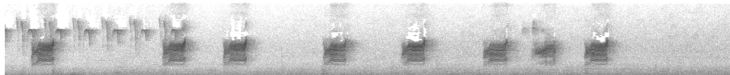 Satin Flycatcher - ML644126439