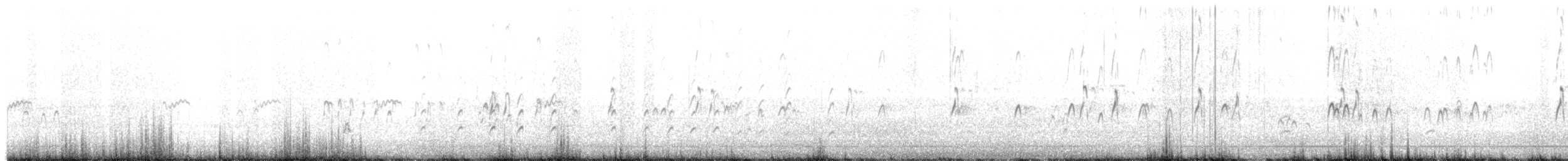 langnebbekkasinsnipe - ML644128264