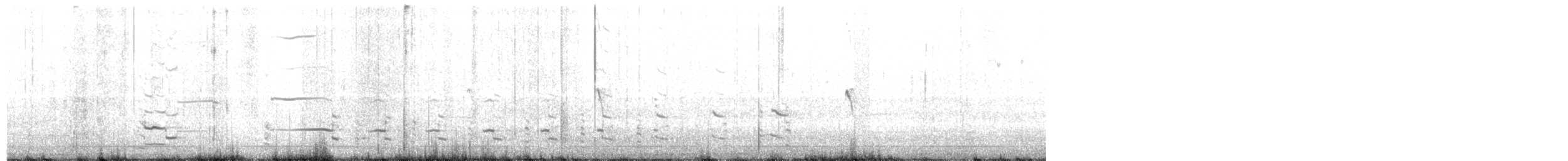 amerikagråmåke - ML644128307