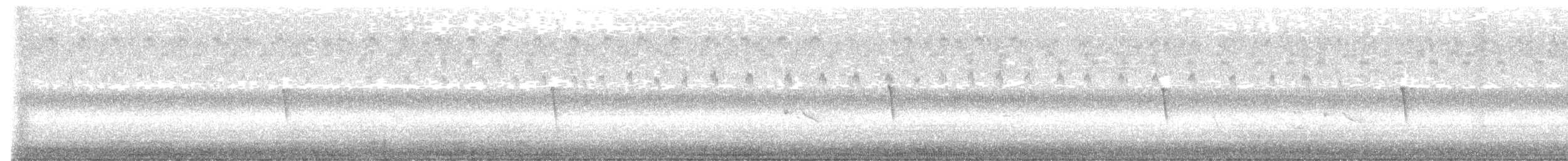 Eastern Phoebe - ML644128370