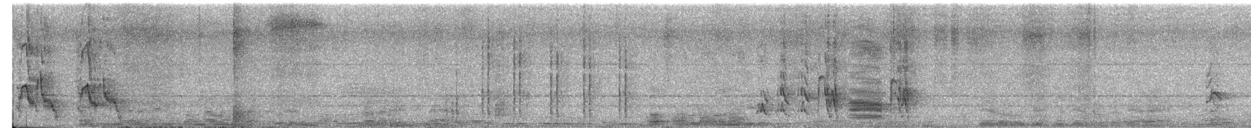 majna obecná - ML644128423