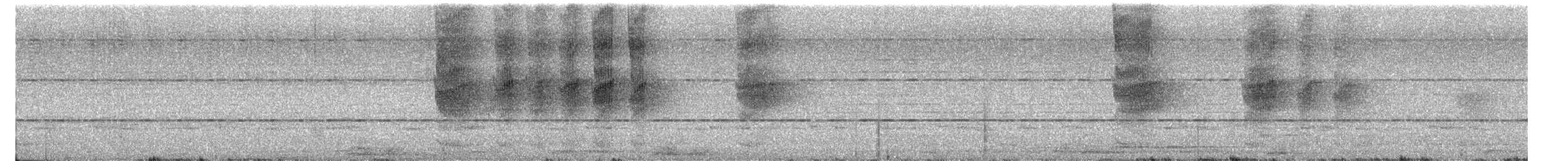 modravec siný - ML644128645