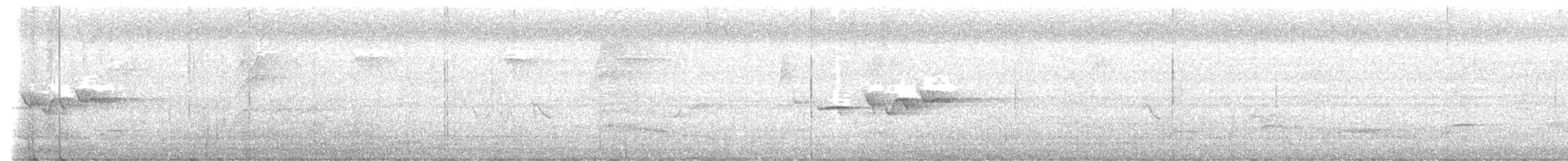 Isthmian Wren - ML644129222