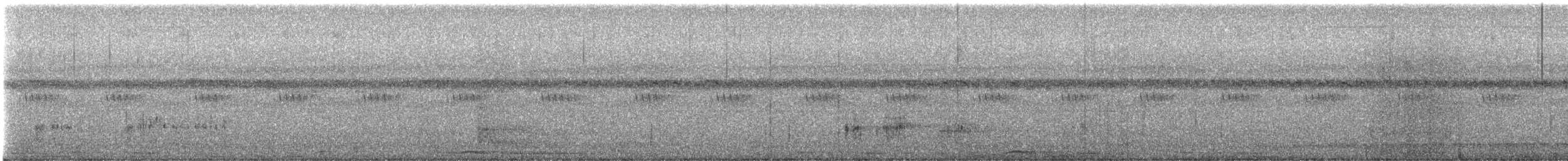 Chotacabras Bigotudo - ML644129395