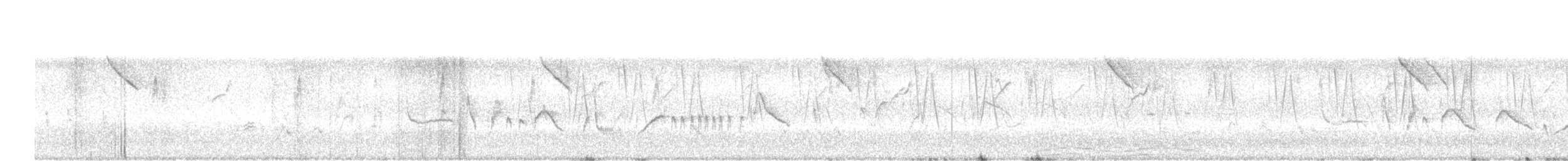 Timalí Ojigualdo - ML644129610