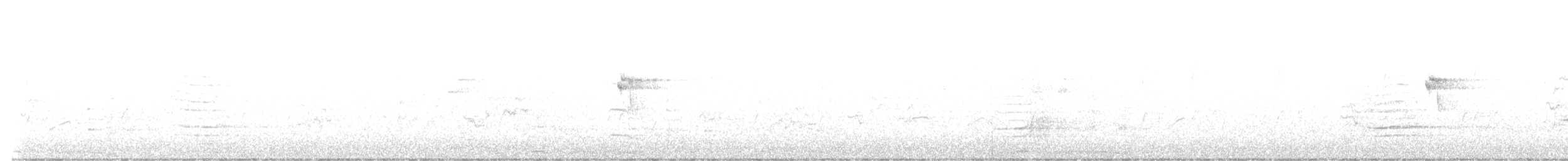 Buff-banded Rail - ML644131017