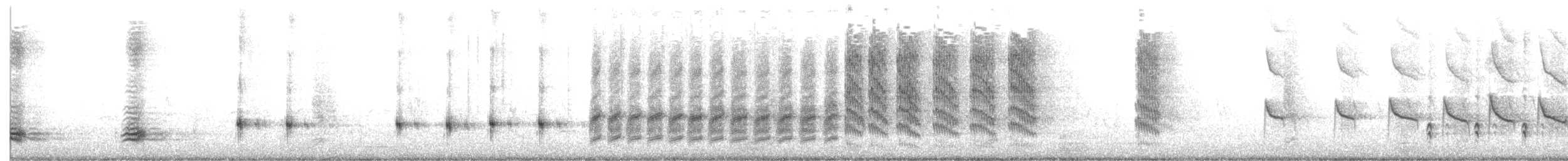 Gartenspottdrossel - ML644131129