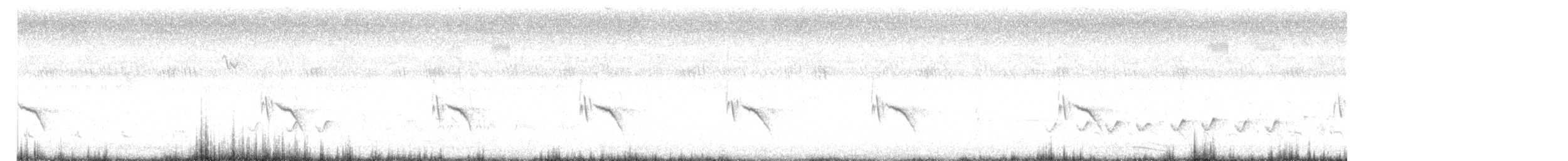 Принія джунглева - ML644131160