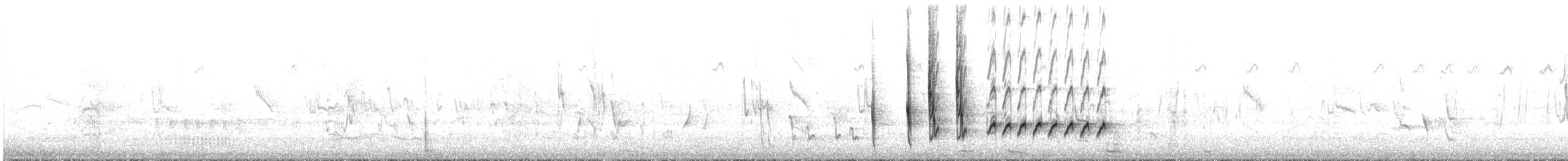 Brown Honeyeater - ML644131583