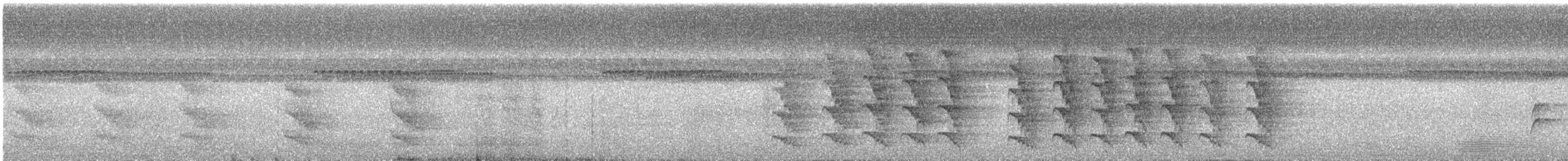 Habia bridé - ML644131841