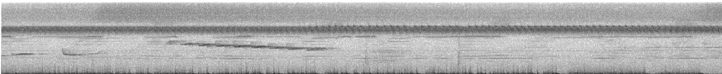 passerine sp. - ML644131935