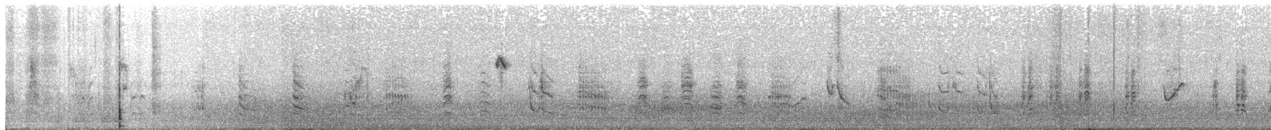 Rousserolle effarvatte (avicenniae) - ML644133747