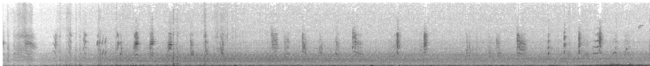 Rousserolle effarvatte (avicenniae) - ML644133748