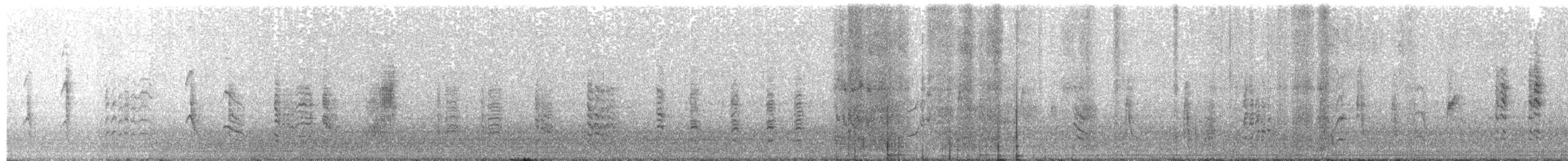 Rousserolle effarvatte (avicenniae) - ML644133749