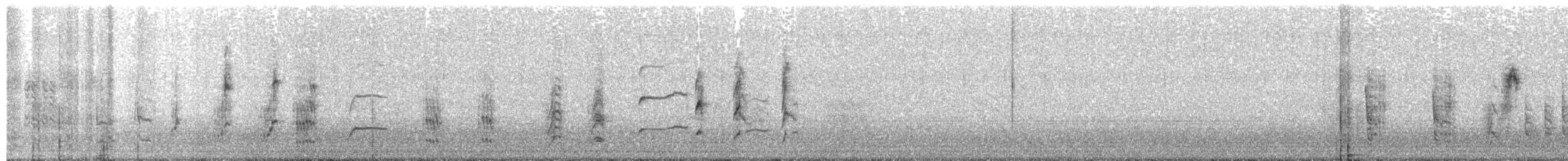Rousserolle effarvatte (avicenniae) - ML644133750