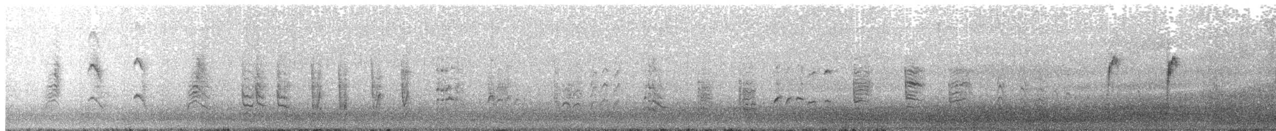 Rousserolle effarvatte (avicenniae) - ML644133751