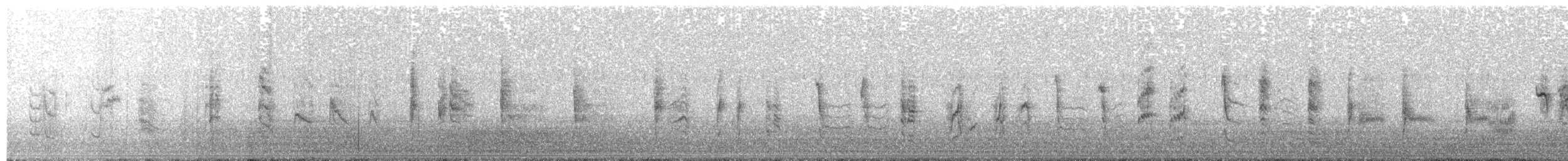 Rousserolle effarvatte (avicenniae) - ML644133753