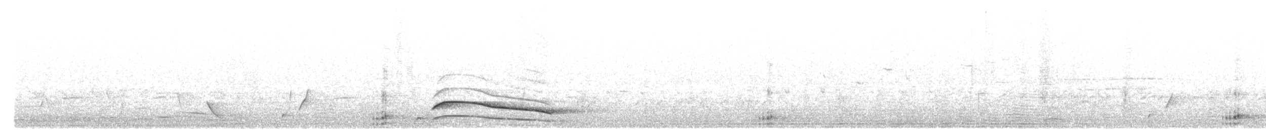 Pied Currawong - ML644134329