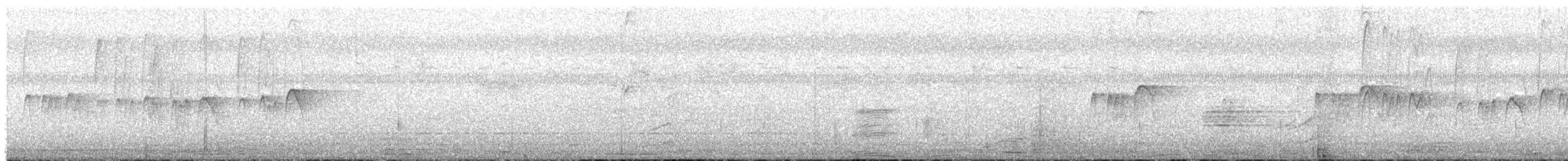 Bengalensegler - ML644134454