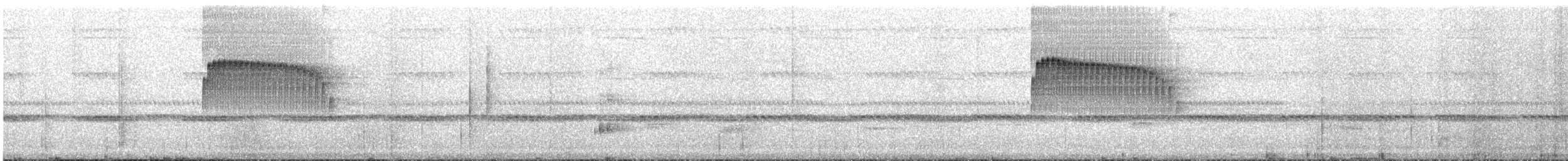 Hellkehl-Stachelschwanz - ML644135029