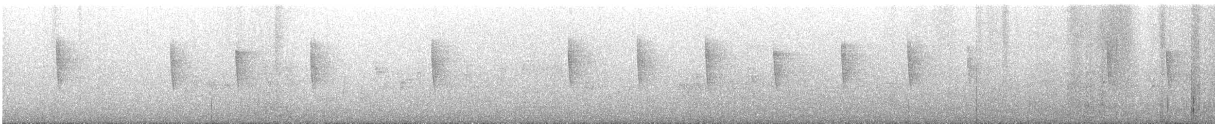 stryparula - ML644136110
