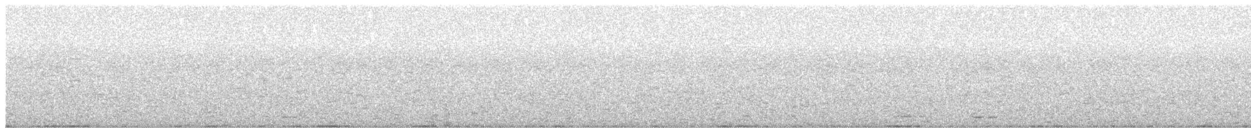 オオハシタイランチョウ - ML644136160