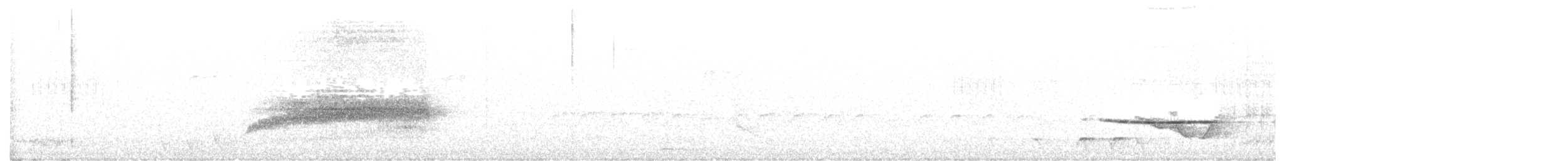 lejsčík pruholící - ML644136629