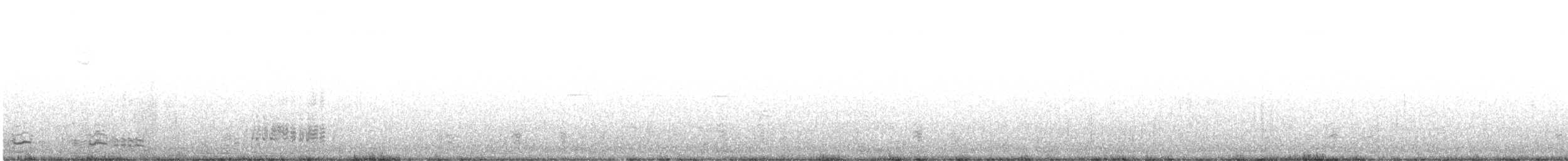 Хар толгойт галуу - ML644136853