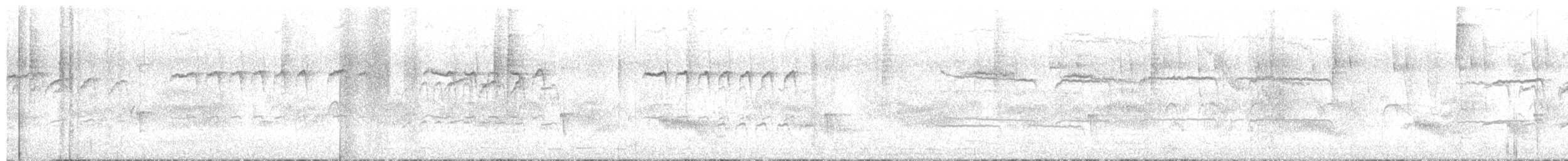 Hellbauch-Baumsteiger - ML644137362