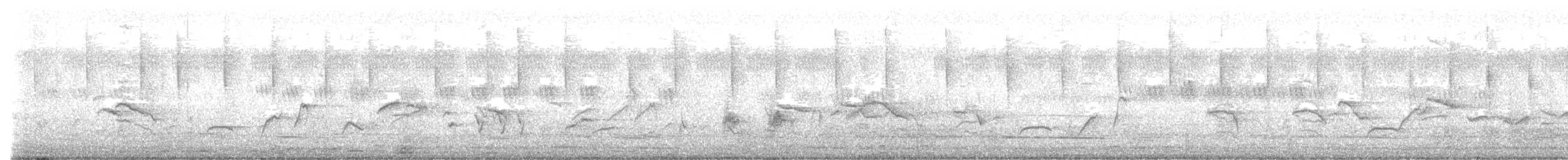 Philippine Magpie-Robin - ML644137671