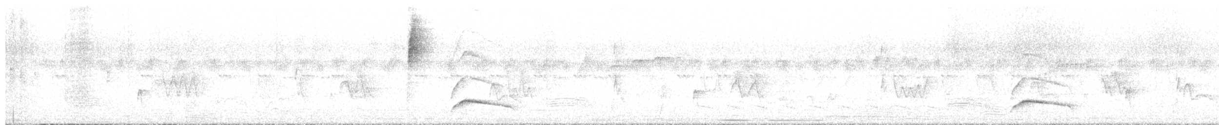 Large Elaenia - ML644138140