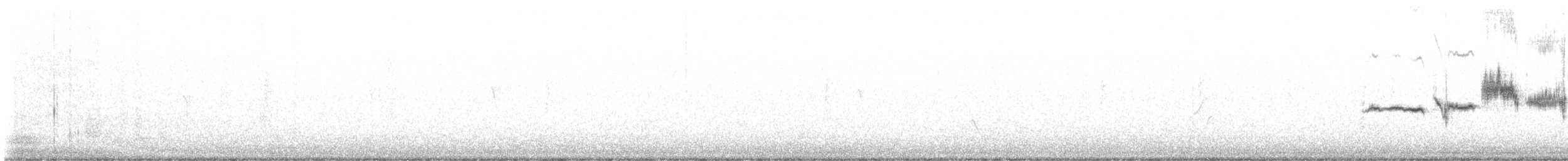 גיבתונית לבנת-כיפה - ML644139401