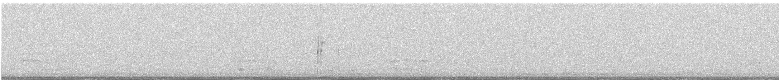 American Barn Owl - ML644139608