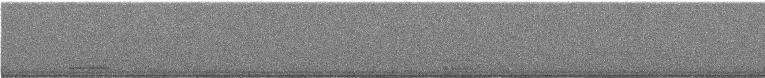 American Barn Owl - ML644139613