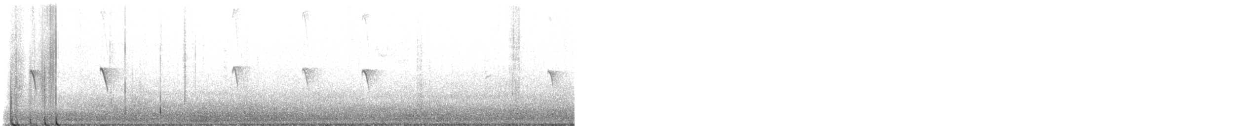 Black Phoebe - ML644139657