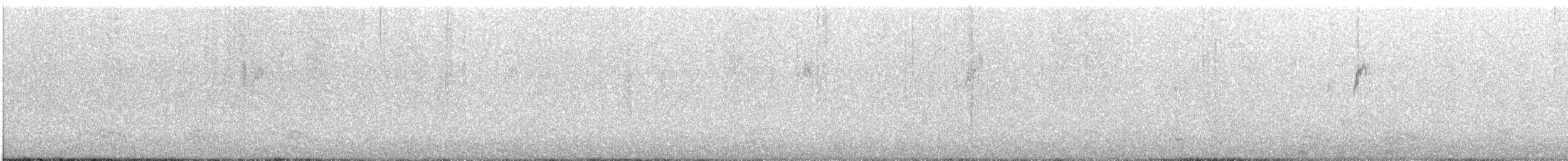 Water Pipit (Western) - ML644139934