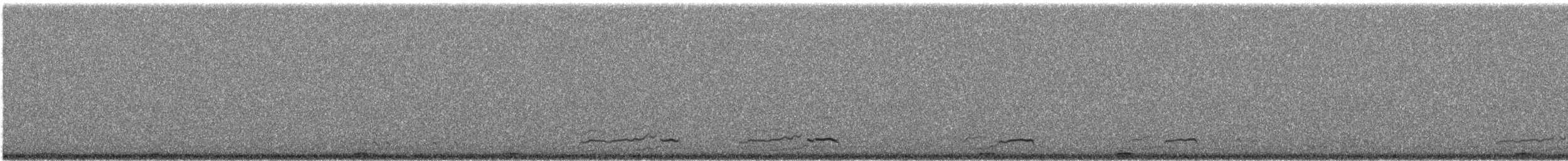 Wood Duck - ML644140257