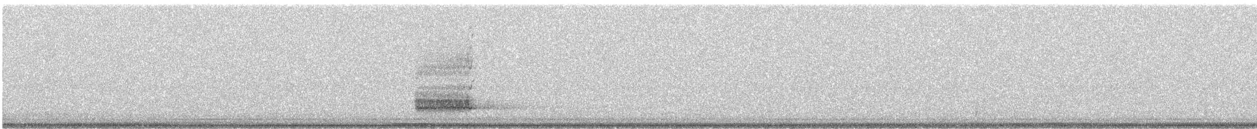 American Barn Owl - ML644140269