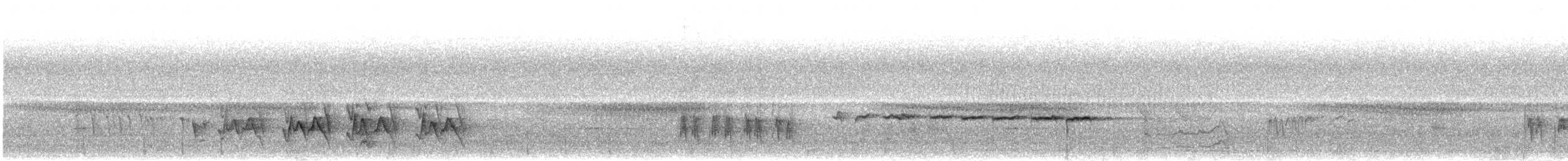Gray-winged Blackbird - ML644140528