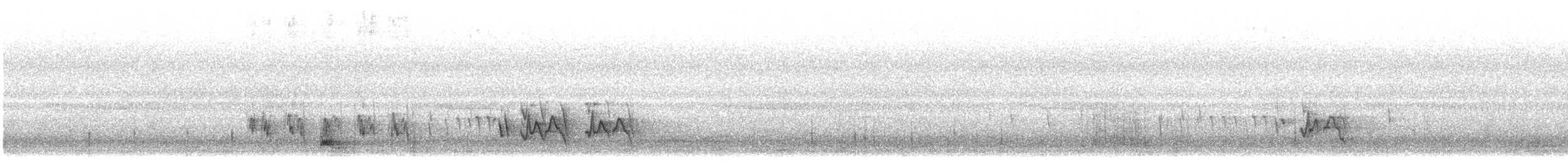 Gray-winged Blackbird - ML644140636