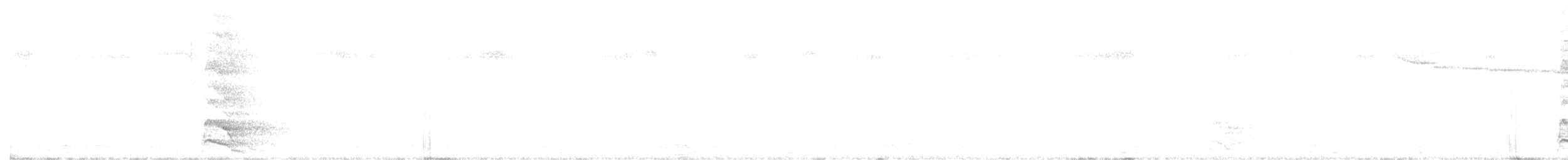 White-bellied Woodpecker - ML644140692