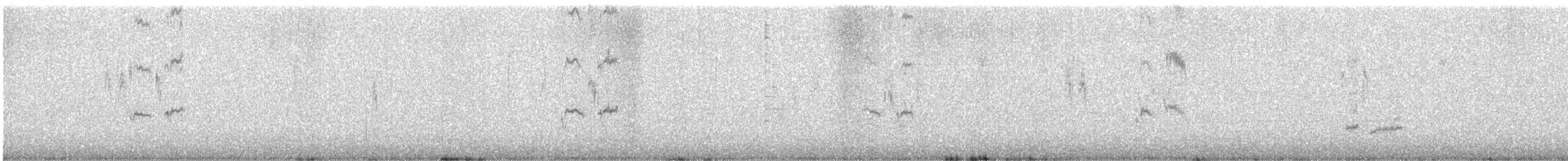 Great Gray Shrike (Sahara) - ML644140873