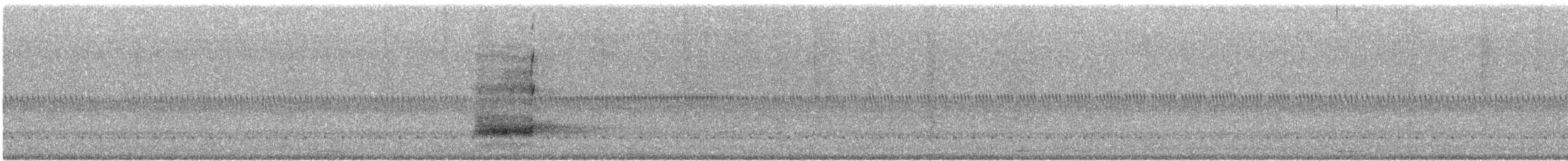 American Barn Owl - ML644141901