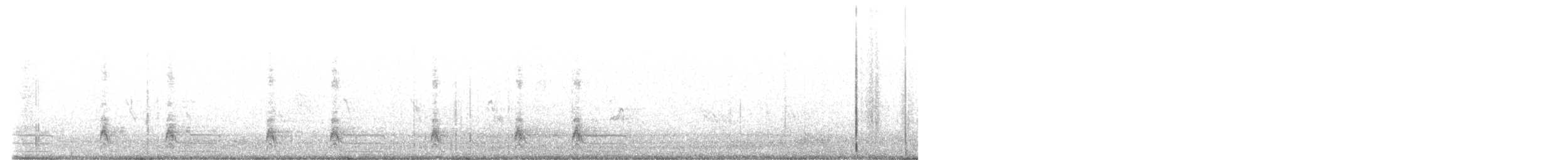 Scaled Quail - ML644142646