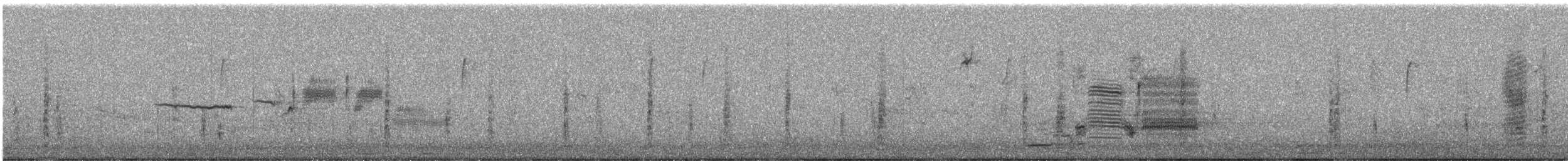 White-crowned Sparrow - ML644143203