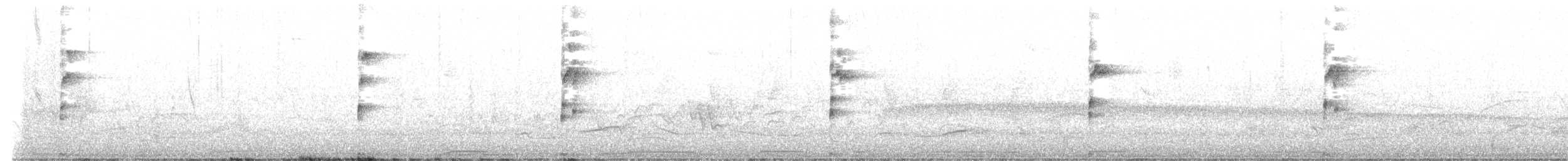 Grauralle - ML644143570