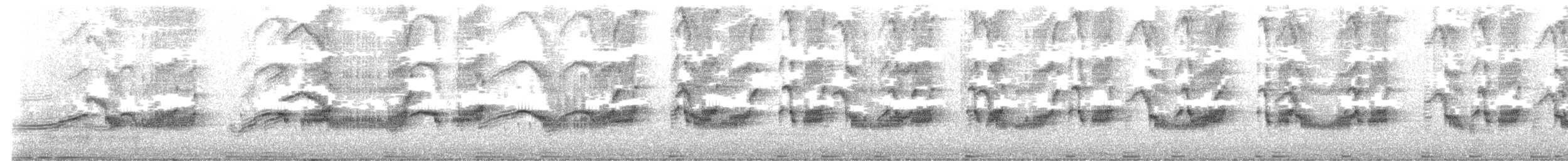 Grauralle - ML644143571