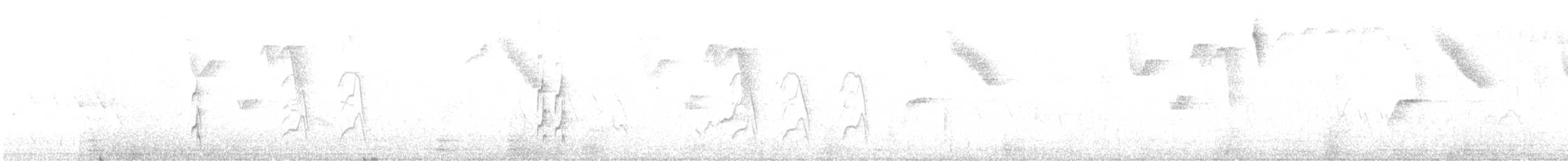 Gray-browed Brushfinch - ML644143588